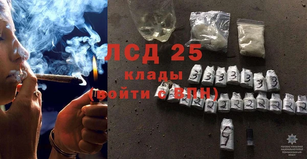 MESCALINE Аркадак