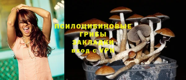 мяу мяу мука Арсеньев