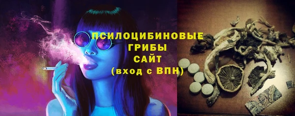 MESCALINE Аркадак